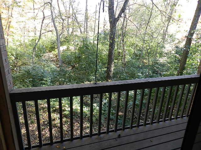 2777 Fishinger Road, Unit 1 Columbus, OH 43221 - Photo 8 of 21 View from balcony
