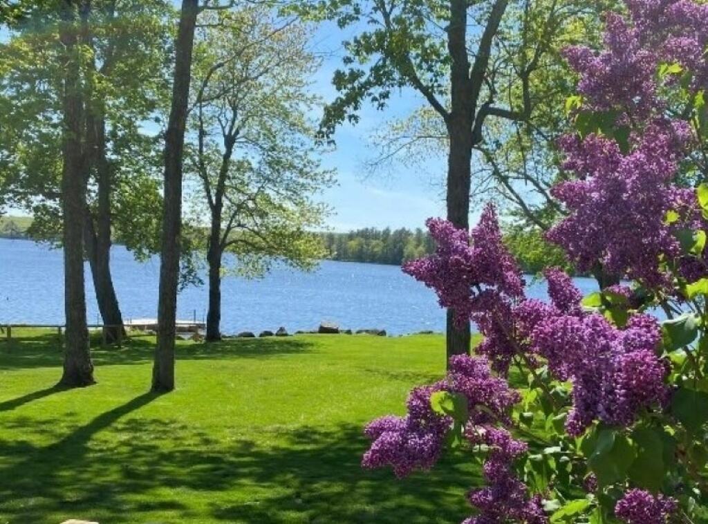34 Albee Road Augusta, ME 04330 - Photo 5 of 61 Summer lilacs