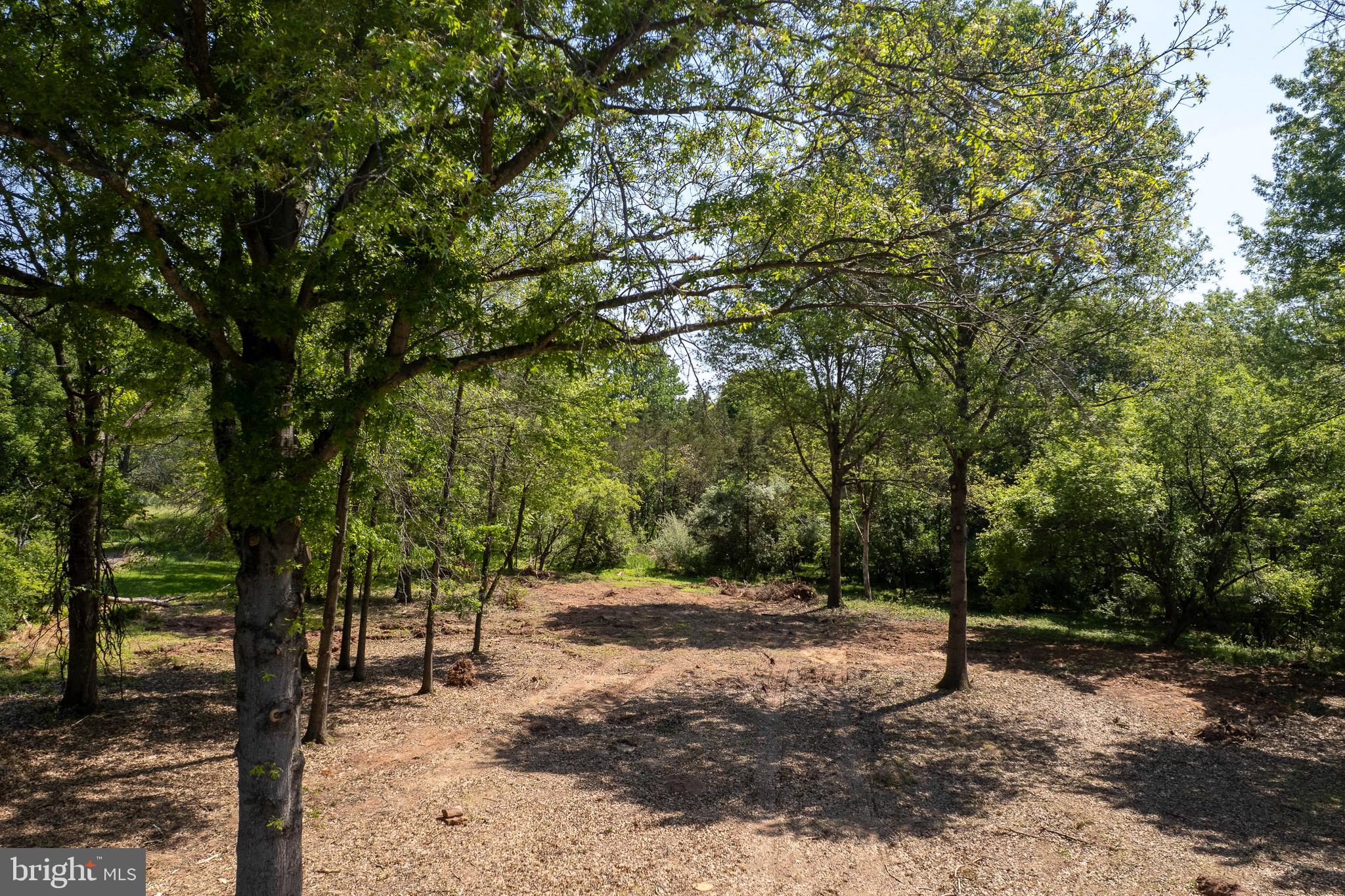 7 Blue Spruce Drive Princeton, NJ 08540 - Photo 9 of 12