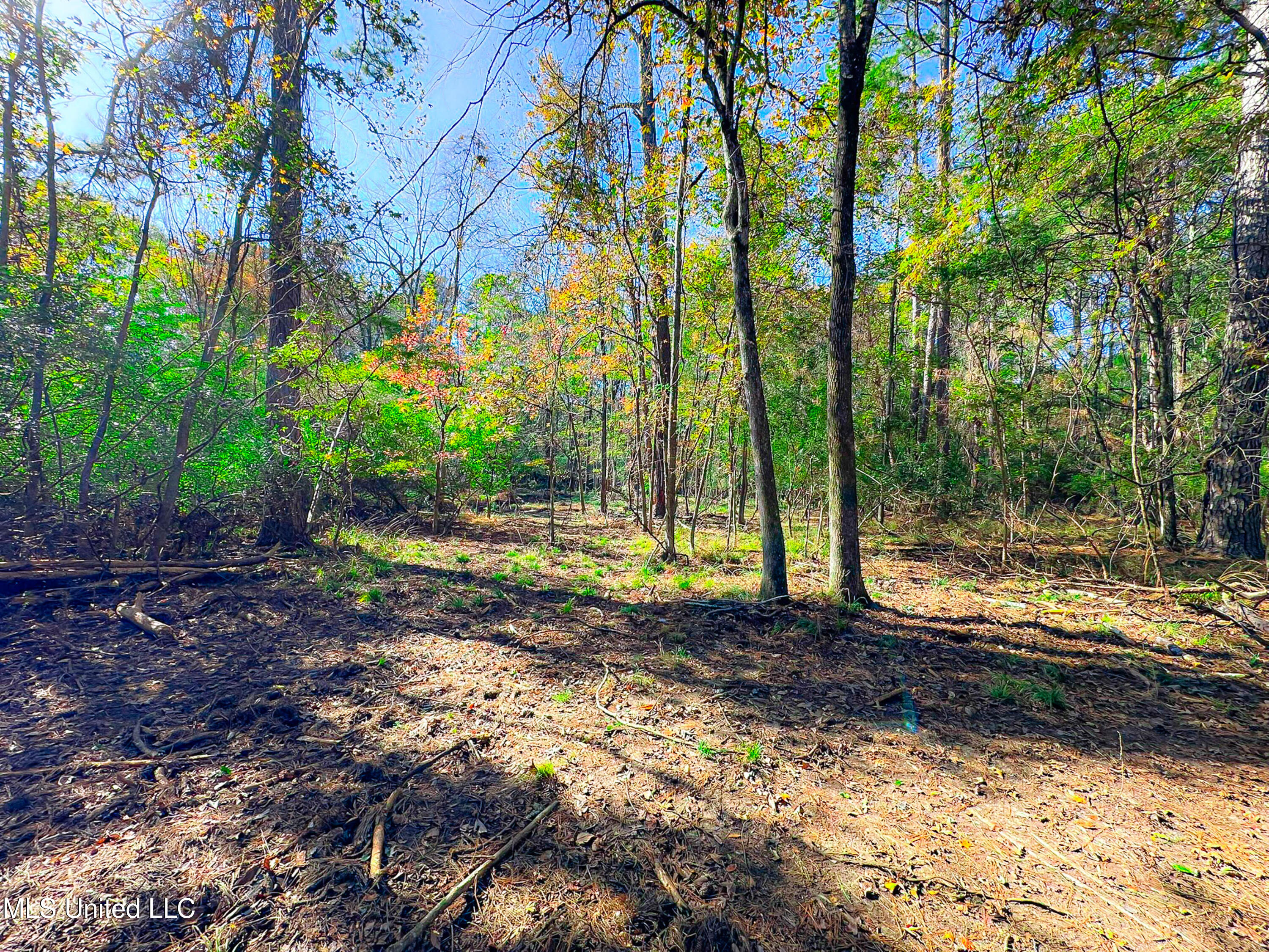 Deer Ridge Road Madison, MS 39110 - Photo 11 of 12 IMG_1875