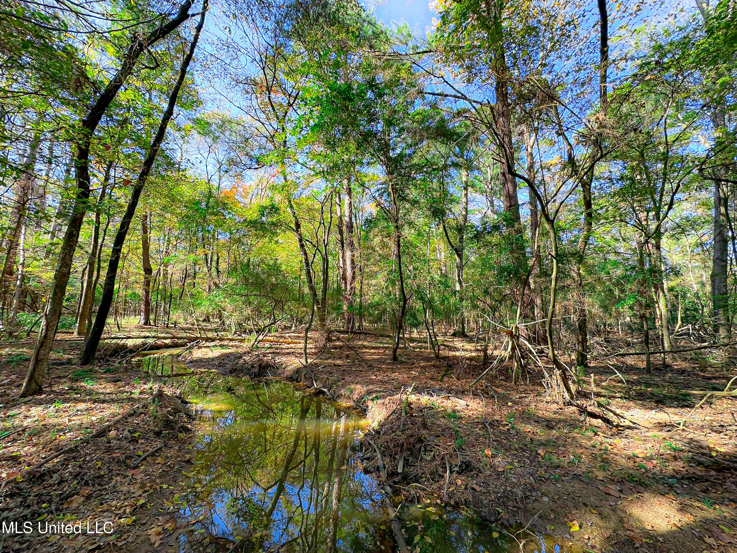 Deer Ridge Road Madison, MS 39110 - Photo 12 of 12 IMG_1880