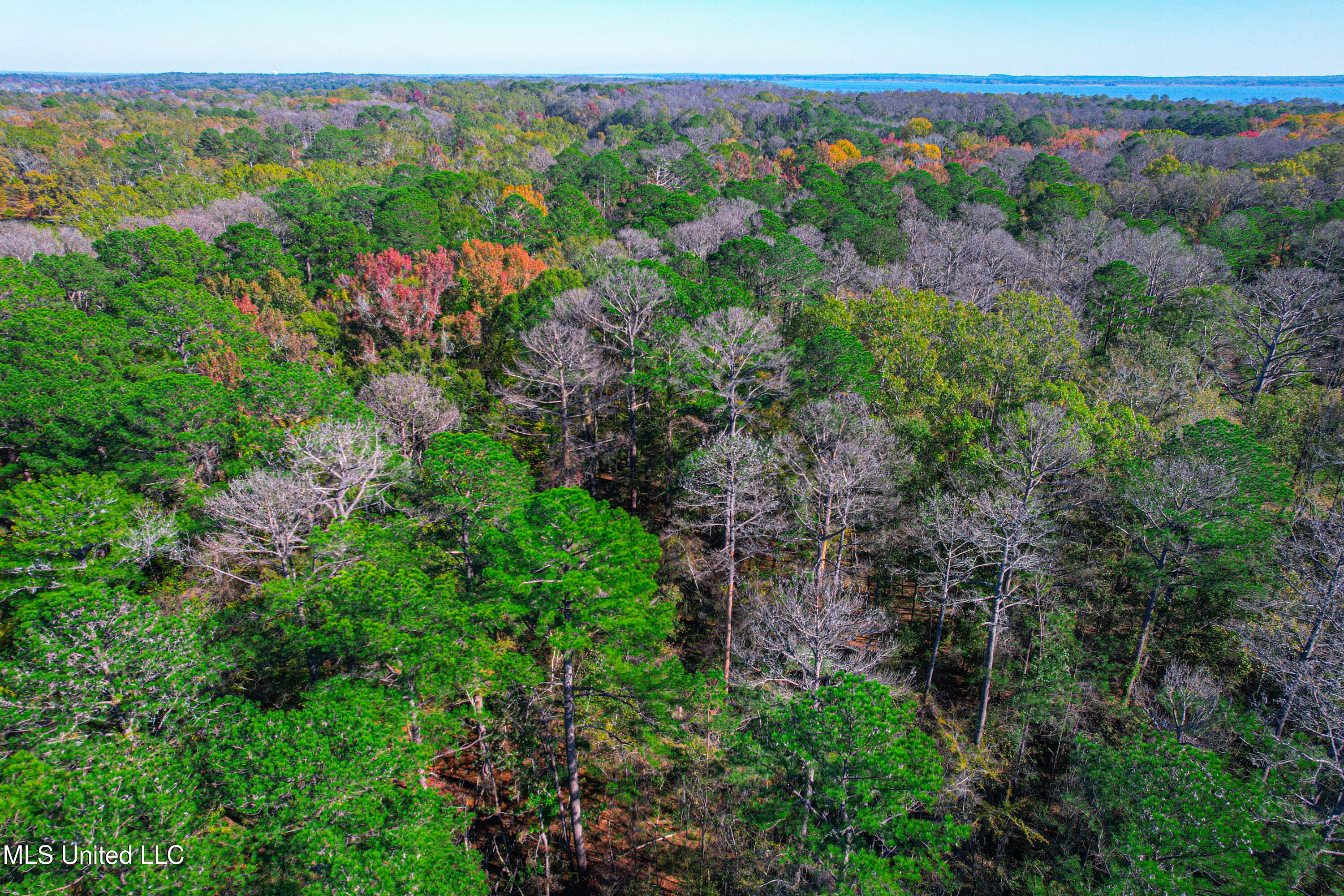 Deer Ridge Road Madison, MS 39110 - Photo 4 of 12 DJI_0375