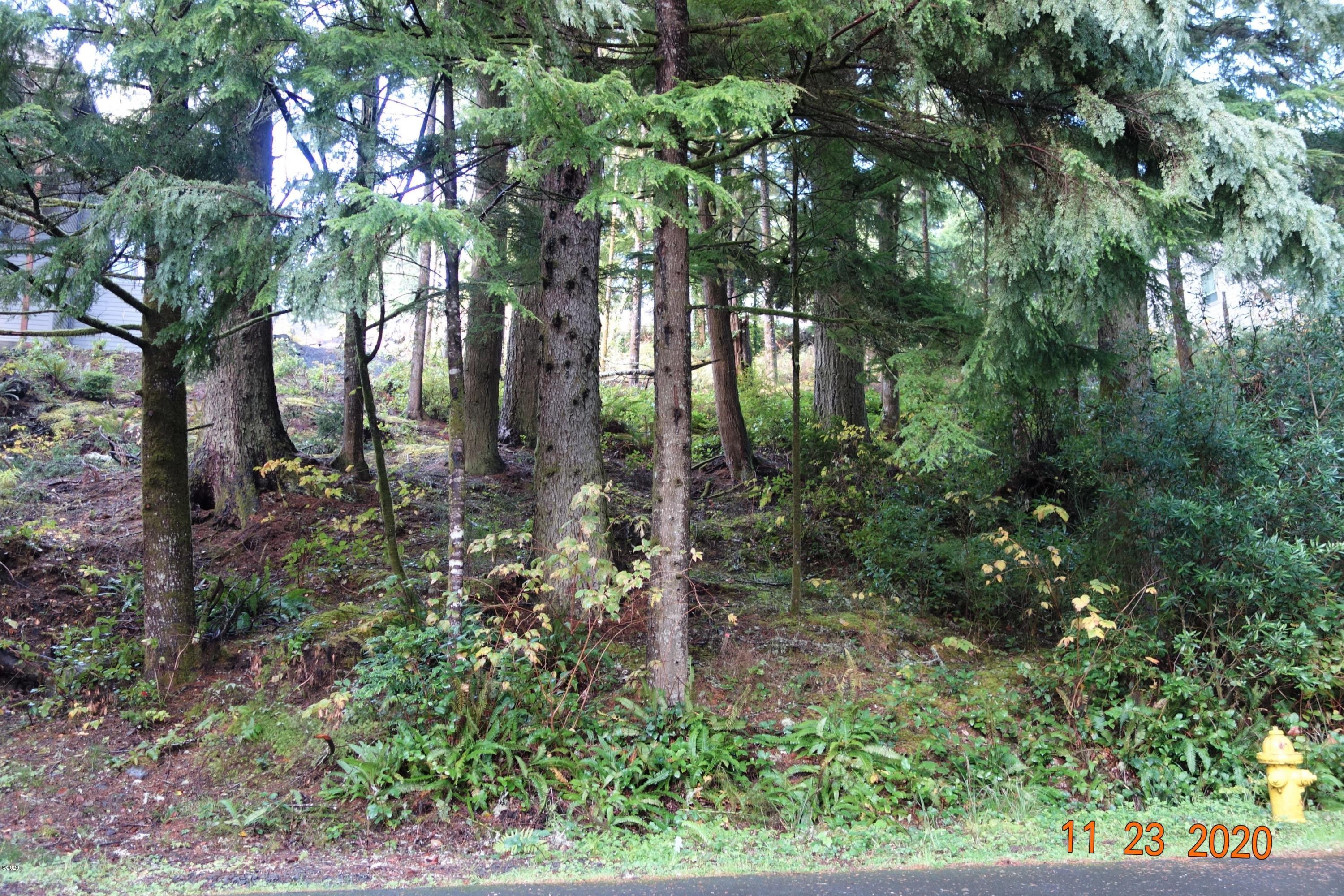 13 Big Tree Road Gleneden Beach, OR 97388 - Photo 1 of 6 13 Big Tree