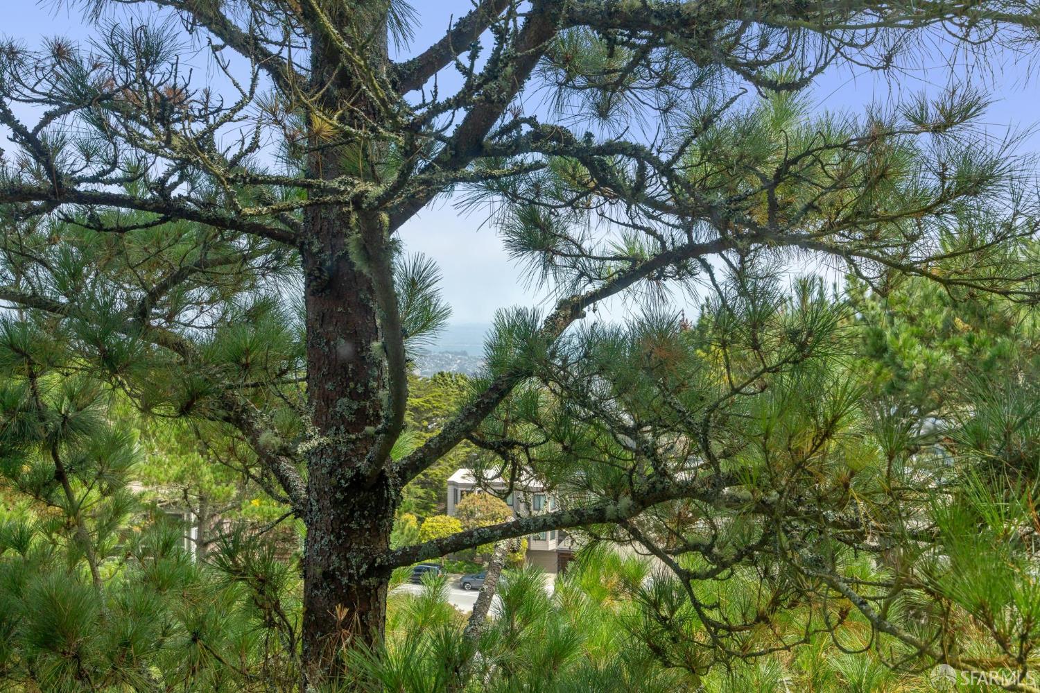 55 Red Rock Way, Unit 207 San Francisco, CA 94131 - Photo 5 of 15 a backyard of a house with lots of green space