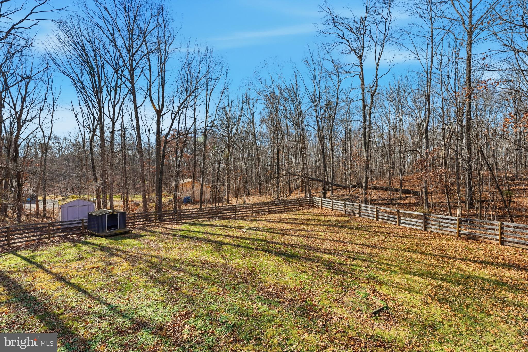 4431 Ringwood Road Nokesville, VA 20181 - Photo 3 of 14 a view of swimming pool with lawn chairs and large trees