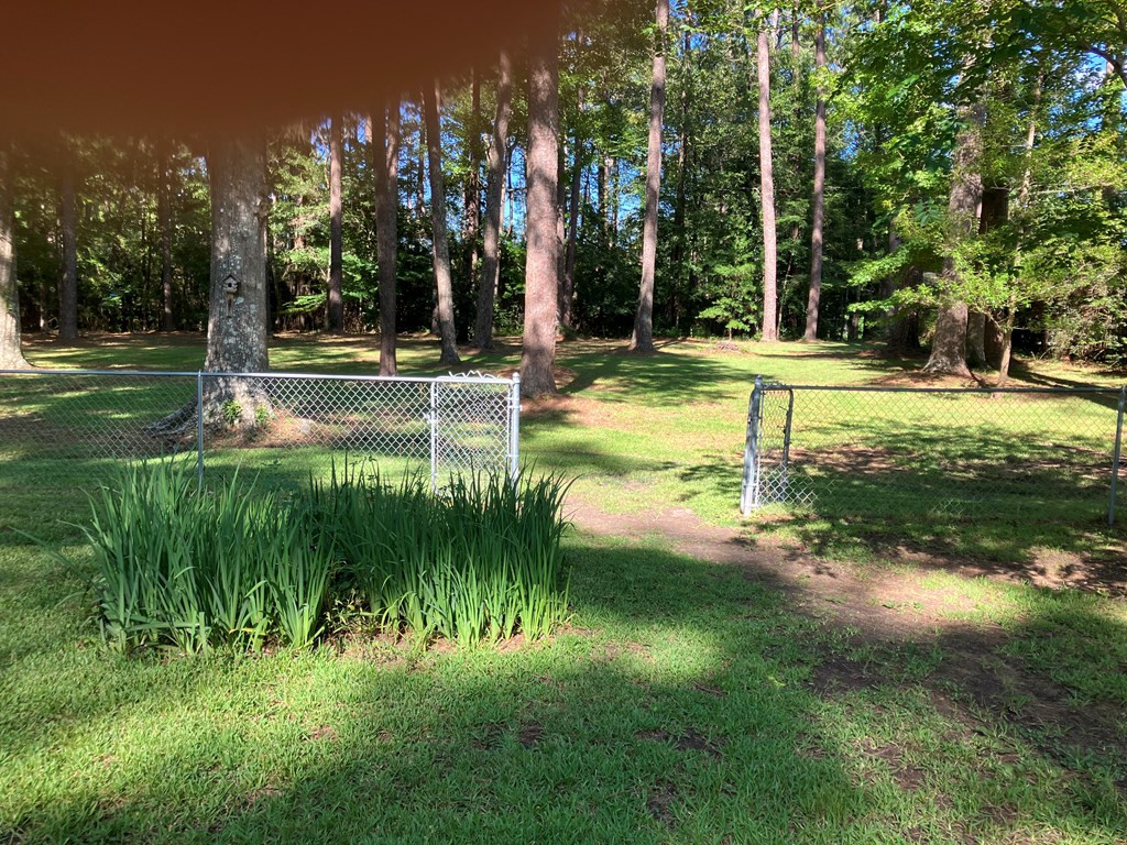 306 Ripley Road Brookhaven, MS 39601 - Photo 7 of 34 Photo 7