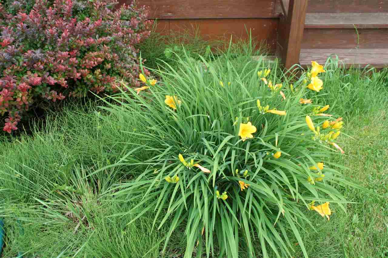2440 East Mt Morris Road Mount Morris, MI 48458 - Photo 25 of 81 Gallery Image 25