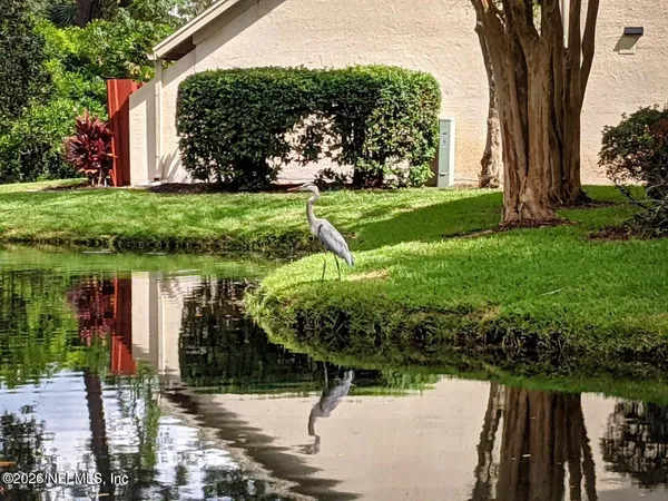 a view of a garden with a slide