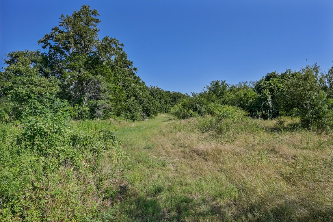 681 County Road 474 Elgin, TX 78621 - Photo 27 of 37 a view of a green field with lots of bushes