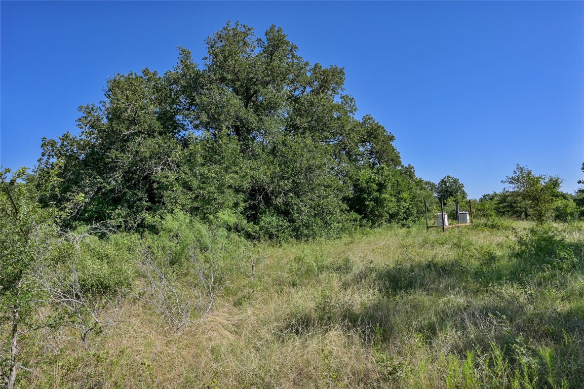 681 County Road 474 Elgin, TX 78621 - Photo 29 of 37 a view of a lush green space