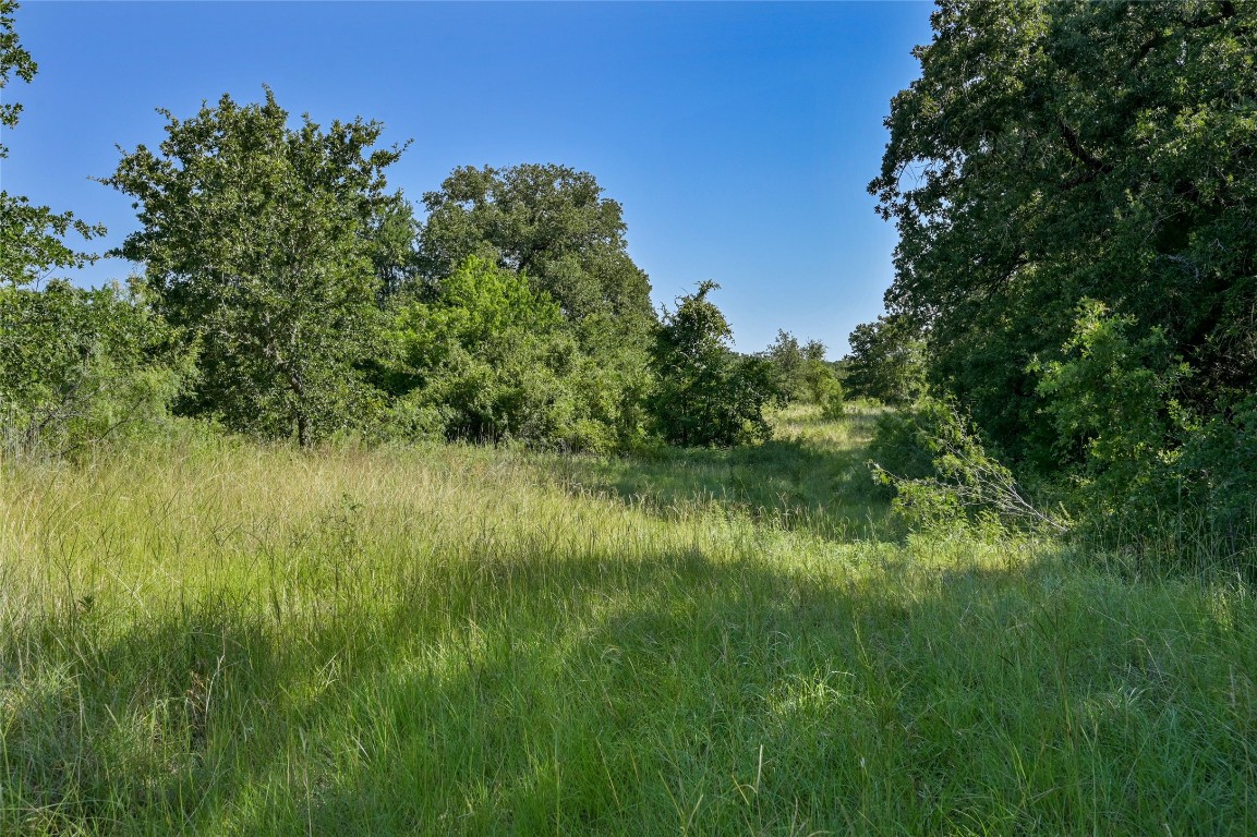 681 County Road 474 Elgin, TX 78621 - Photo 30 of 37 a view of a lush green space