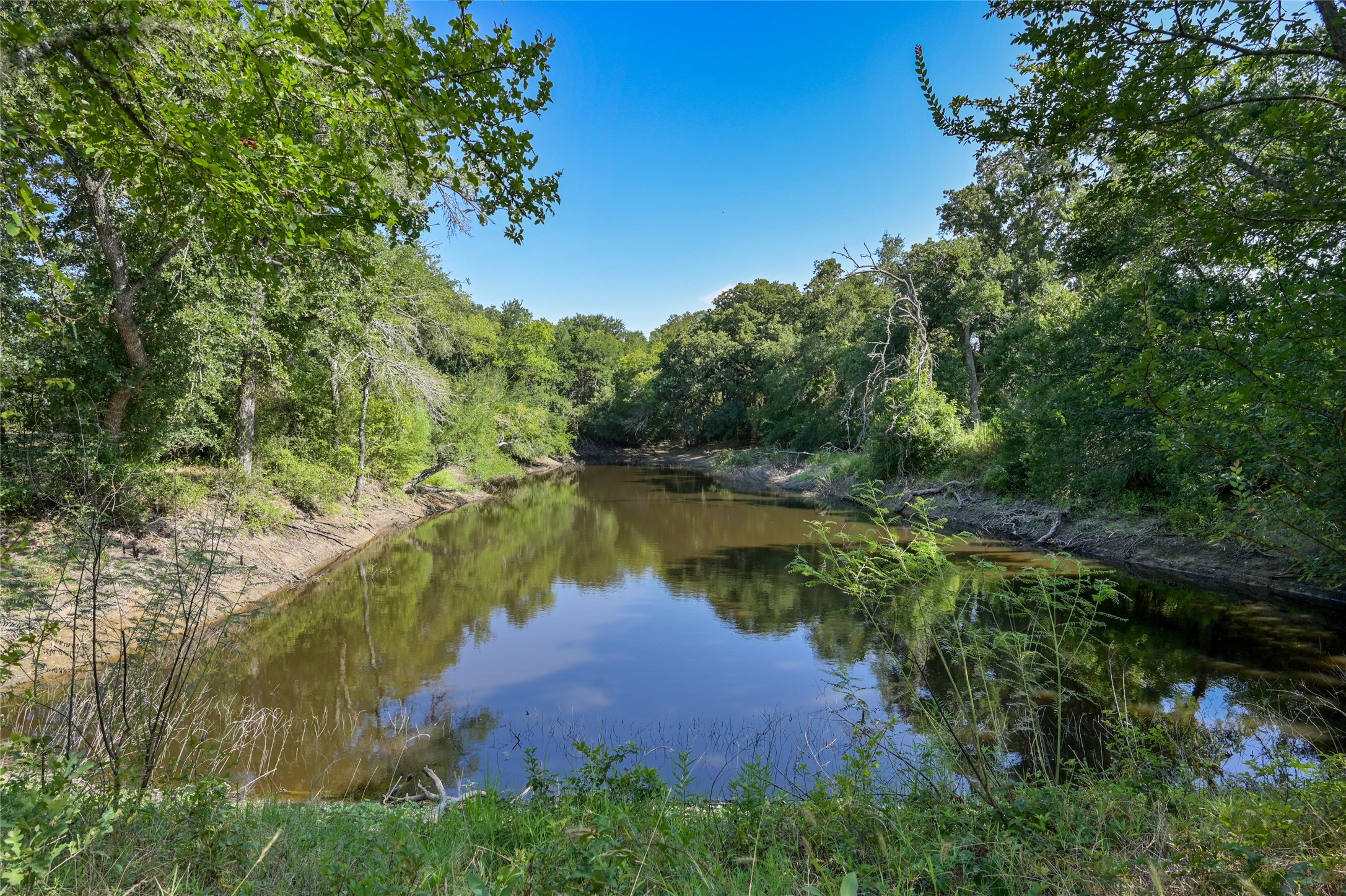 681 County Road 474 Elgin, TX 78621 - Photo 4 of 37 a view of a lake with a yard