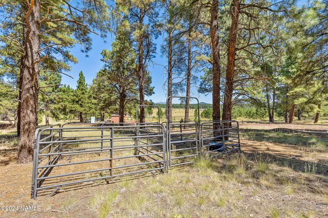 a view of outdoor space with trees