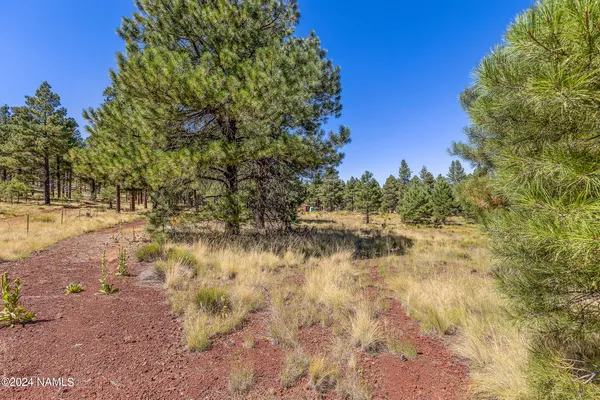 a view of lake with green space