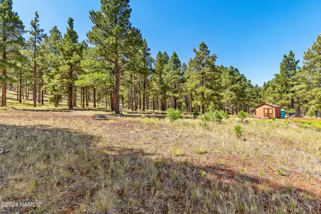 a view of outdoor space with garden