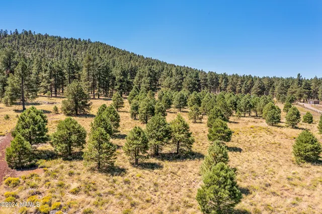 a view of a large building with mountains in the background
