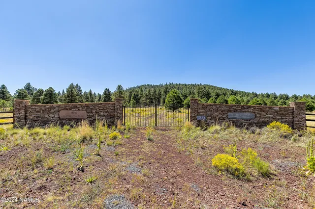 a view of swimming pool with a yard