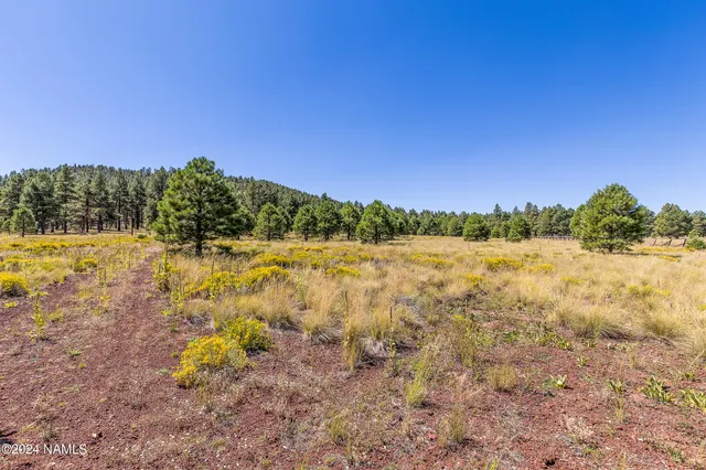 a view of a lake with a yard