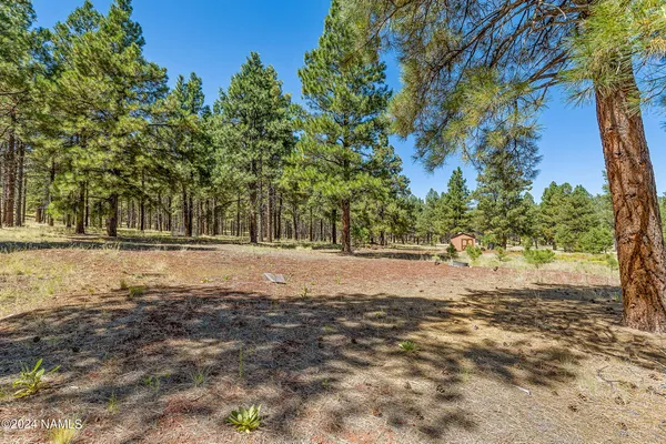 a view of swimming pool with an outdoor space