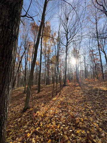 $182,400 | Xxx Rutabaga Road, Sandstone, MN 55072