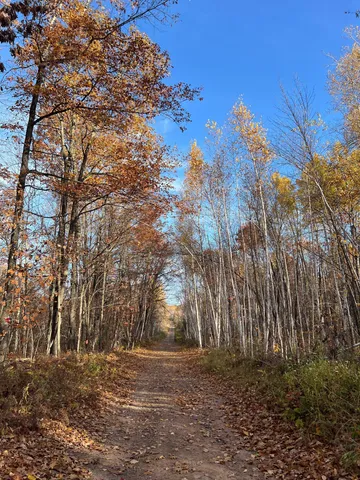 $182,400 | Xxx Rutabaga Road, Sandstone, MN 55072