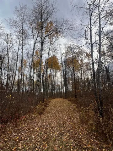 $182,400 | Xxx Rutabaga Road, Sandstone, MN 55072