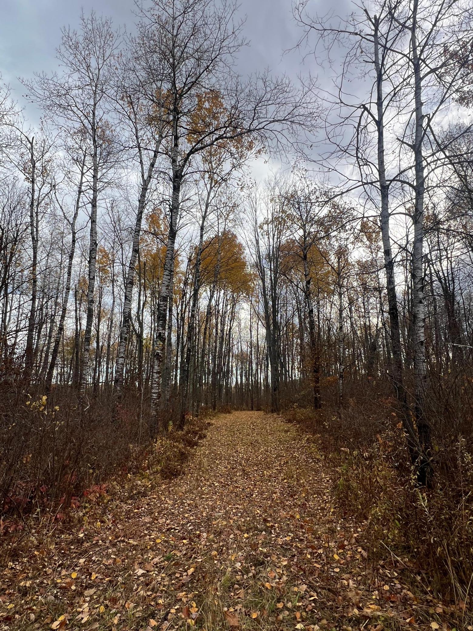 Xxx Rutabaga Road Sandstone, MN 55072 - Photo 14 of 29
