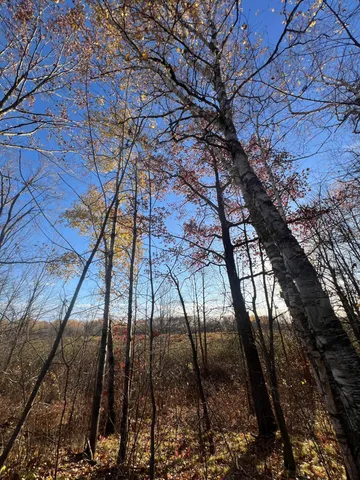 $182,400 | Xxx Rutabaga Road, Sandstone, MN 55072