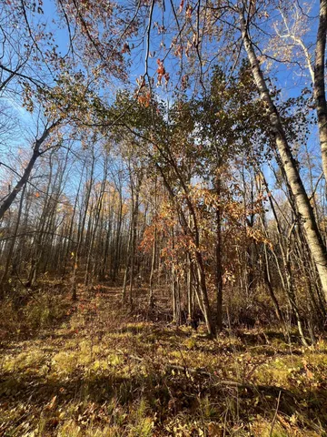 $182,400 | Xxx Rutabaga Road, Sandstone, MN 55072