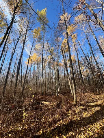 $182,400 | Xxx Rutabaga Road, Sandstone, MN 55072