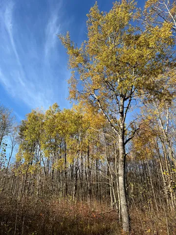 $182,400 | Xxx Rutabaga Road, Sandstone, MN 55072