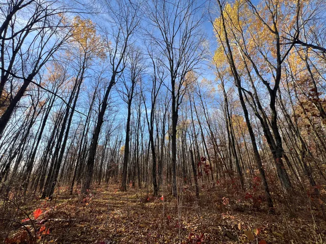 $182,400 | Xxx Rutabaga Road, Sandstone, MN 55072