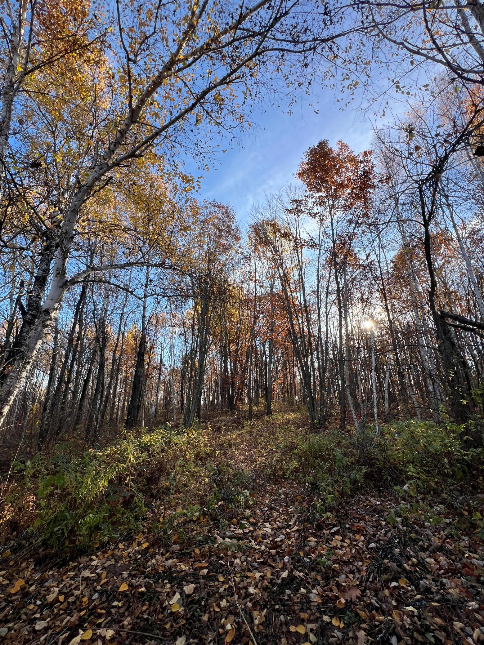 Xxx Rutabaga Road Sandstone, MN 55072 - Photo 22 of 29
