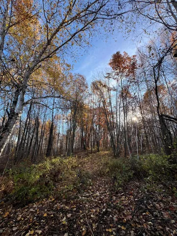 $182,400 | Xxx Rutabaga Road, Sandstone, MN 55072