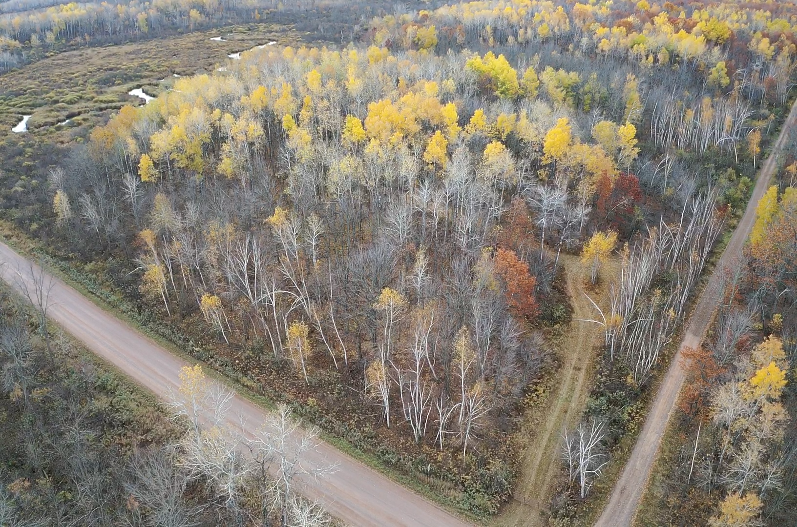Xxx Rutabaga Road Sandstone, MN 55072 - Photo 25 of 29