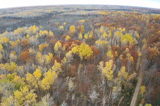 $182,400 | Xxx Rutabaga Road, Sandstone, MN 55072