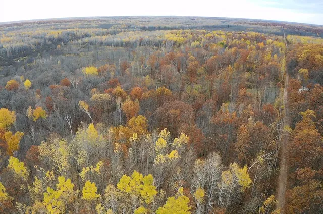 $182,400 | Xxx Rutabaga Road, Sandstone, MN 55072