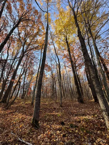 $182,400 | Xxx Rutabaga Road, Sandstone, MN 55072