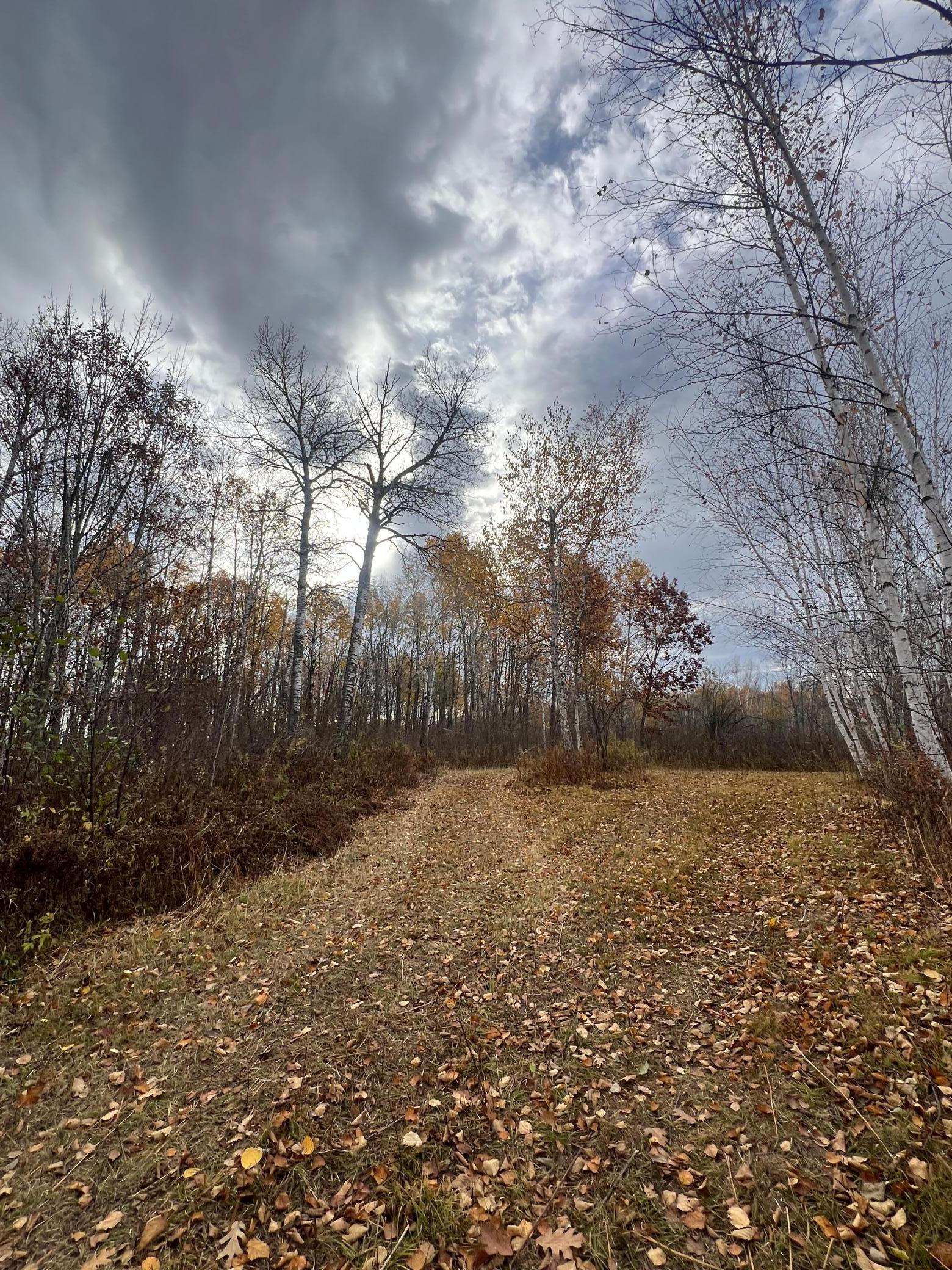 Xxx Rutabaga Road Sandstone, MN 55072 - Photo 5 of 29