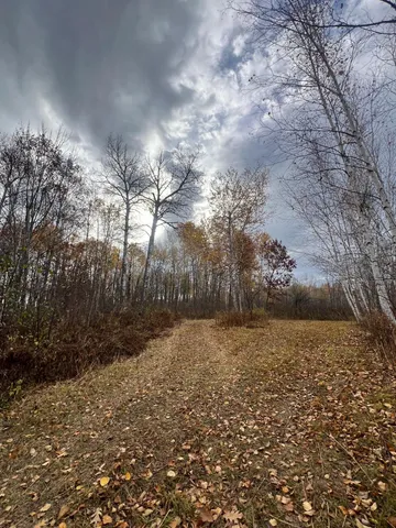 $182,400 | Xxx Rutabaga Road, Sandstone, MN 55072