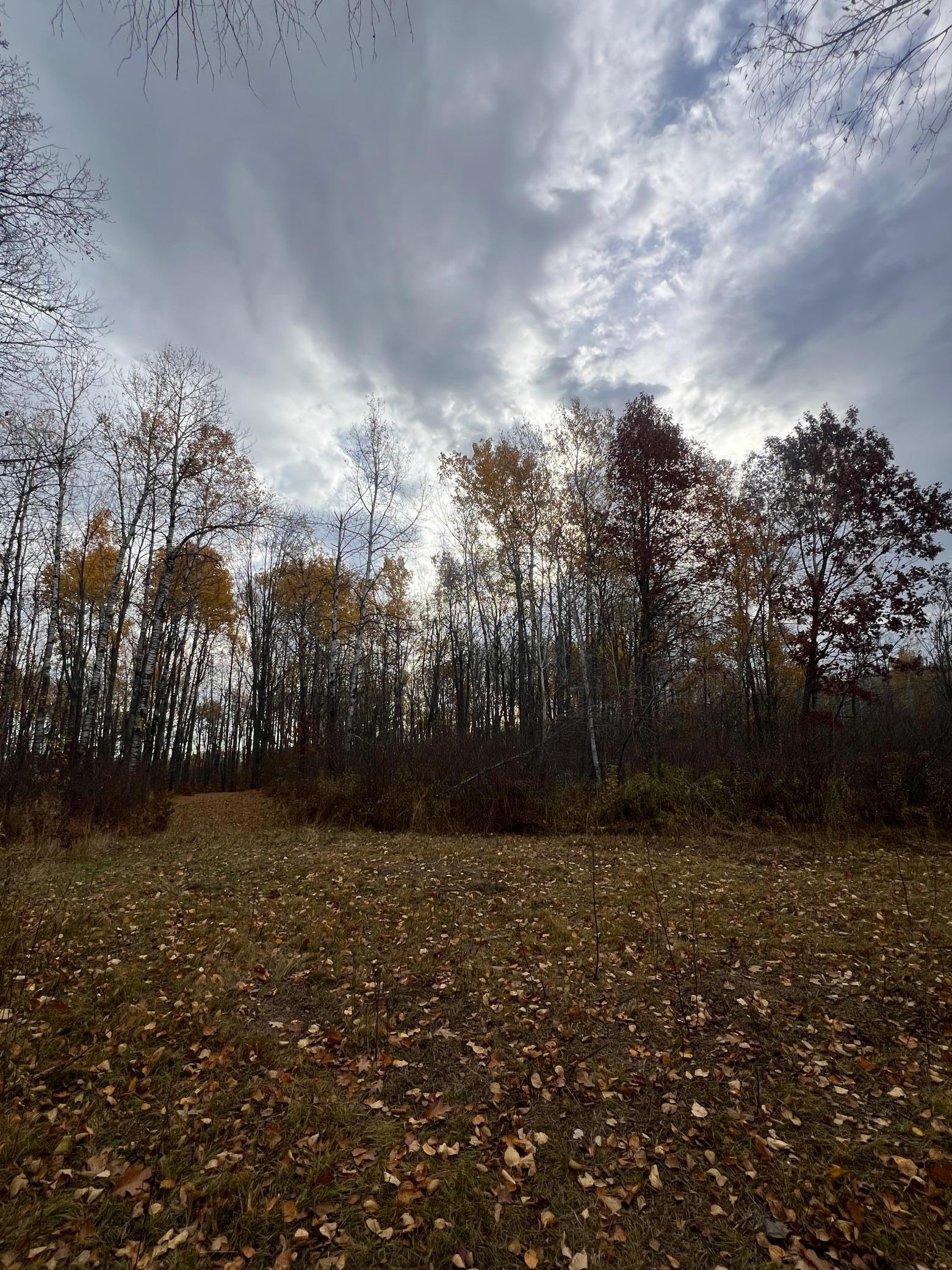 Xxx Rutabaga Road Sandstone, MN 55072 - Photo 8 of 29