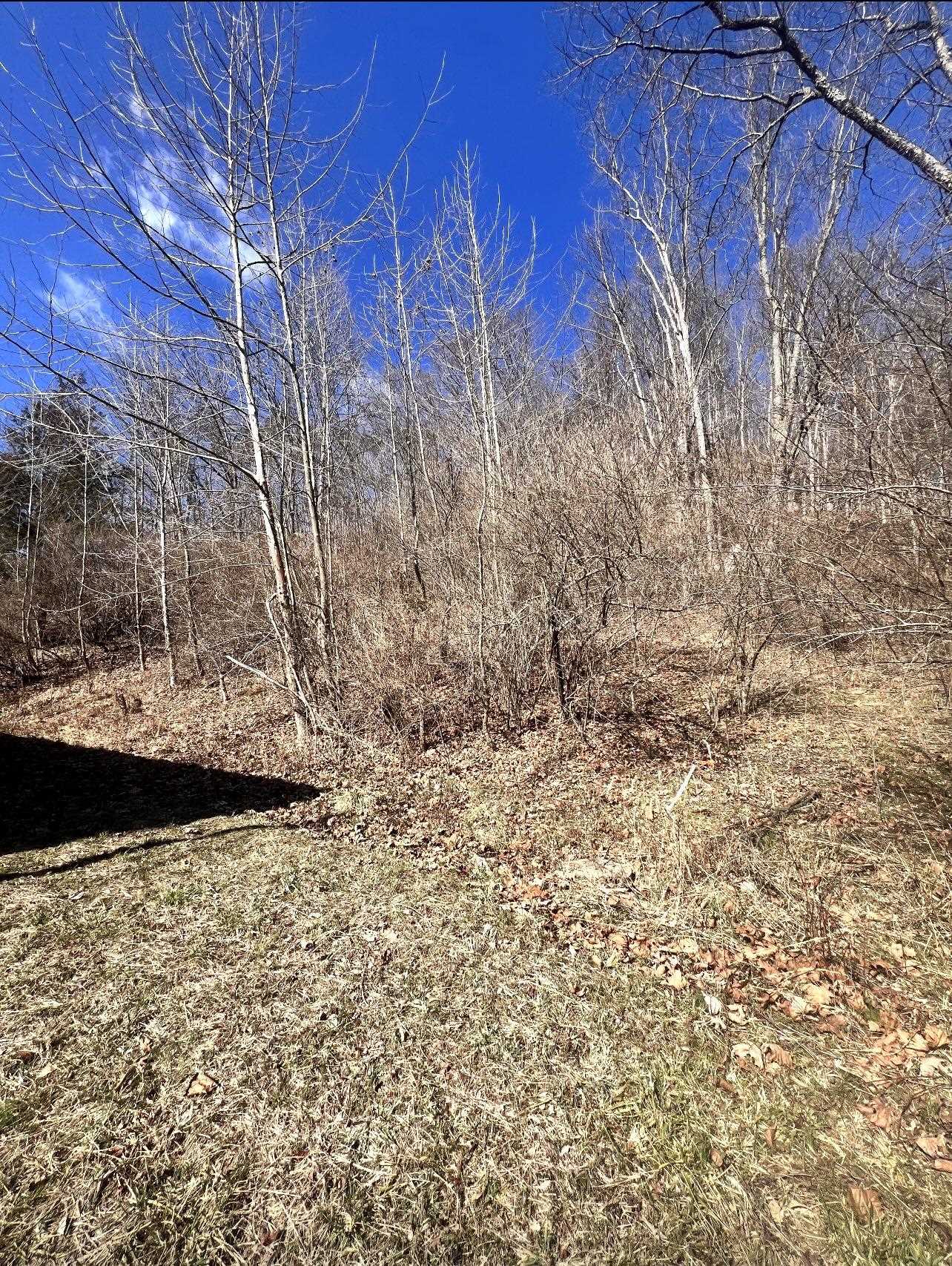 4369 Rush Hollow Road Ona, WV 25545 - Photo 25 of 25