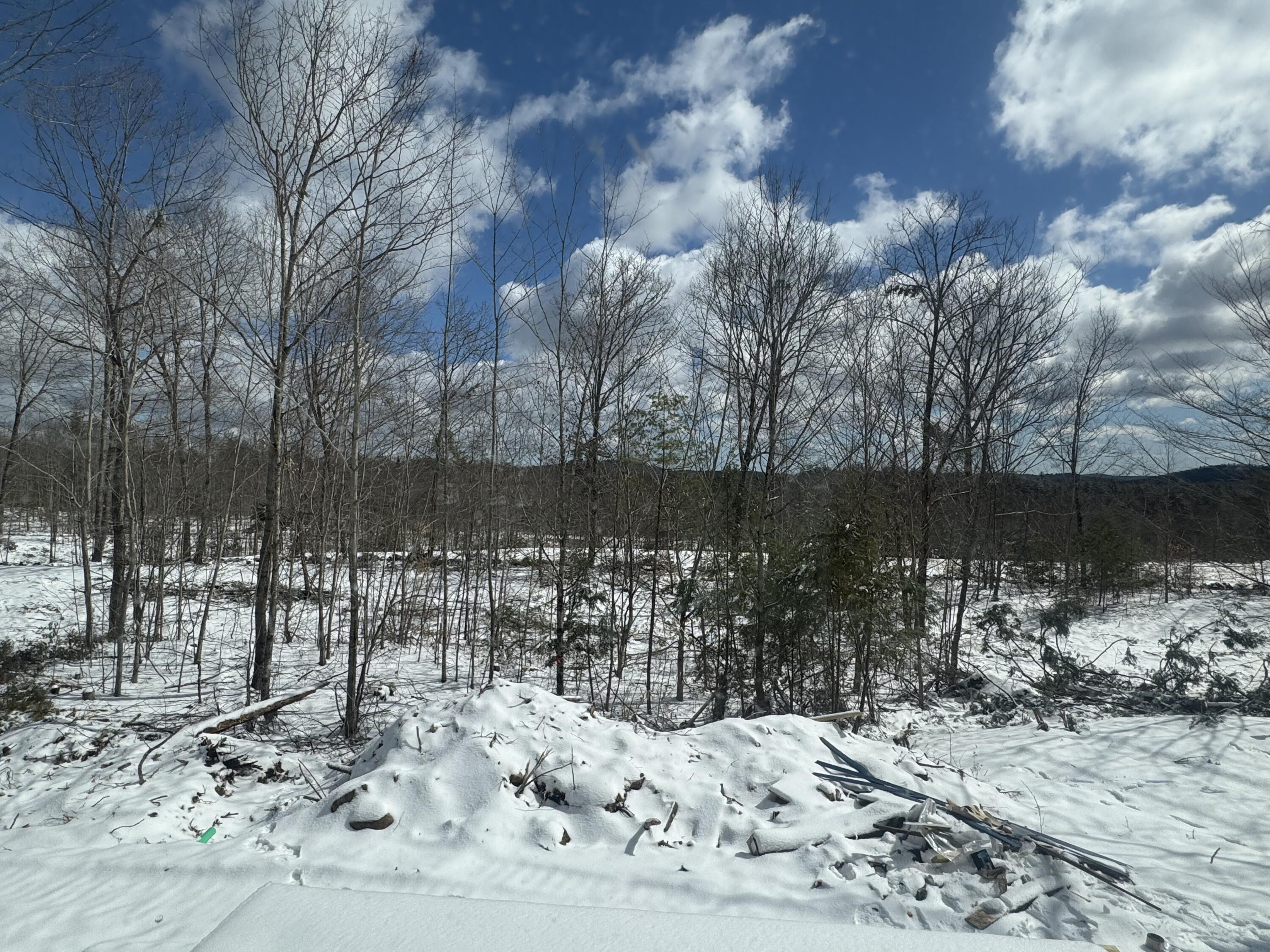 528 Maplewood Road Parsonsfield, ME 04047 - Photo 2 of 12 IMG_8004