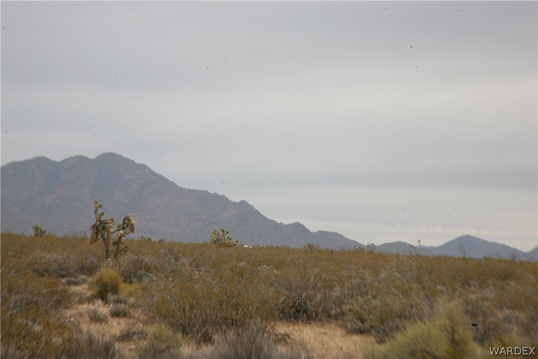 245-18-266 Alan Road Yucca, AZ 86438 - Photo 23 of 54