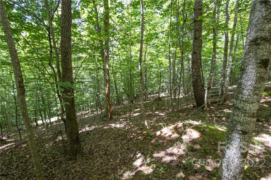 Tbd Rabbit Hop Road, Unit 16 17 Spruce Pine, NC 28777 - Photo 12 of 22 Gallery Image 12