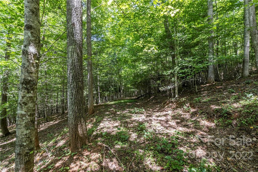 Tbd Rabbit Hop Road, Unit 16 17 Spruce Pine, NC 28777 - Photo 16 of 22 Gallery Image 16