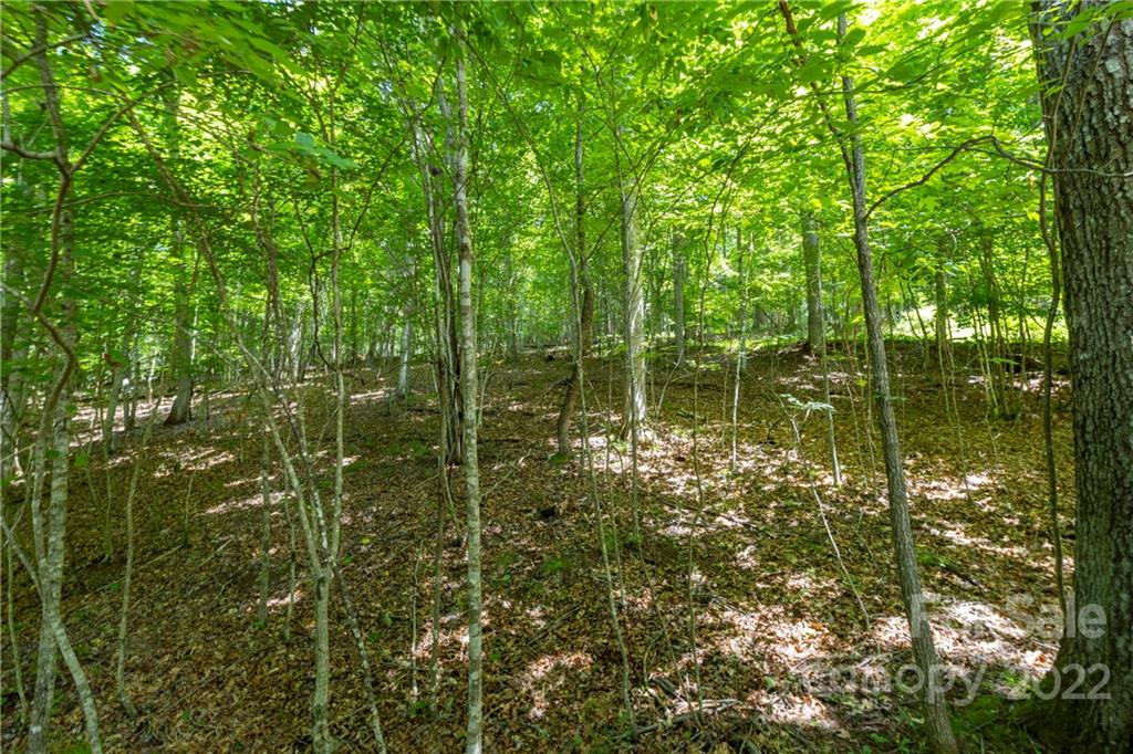 Tbd Rabbit Hop Road, Unit 16 17 Spruce Pine, NC 28777 - Photo 2 of 22 Gallery Image 2