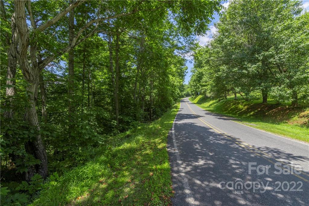 Tbd Rabbit Hop Road, Unit 16 17 Spruce Pine, NC 28777 - Photo 3 of 22 Gallery Image 3