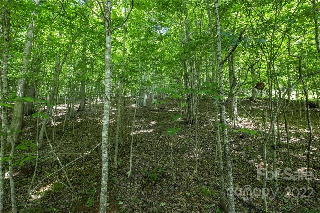 Tbd Rabbit Hop Road, Unit 16 17 Spruce Pine, NC 28777 - Photo 4 of 22 Gallery Image 4