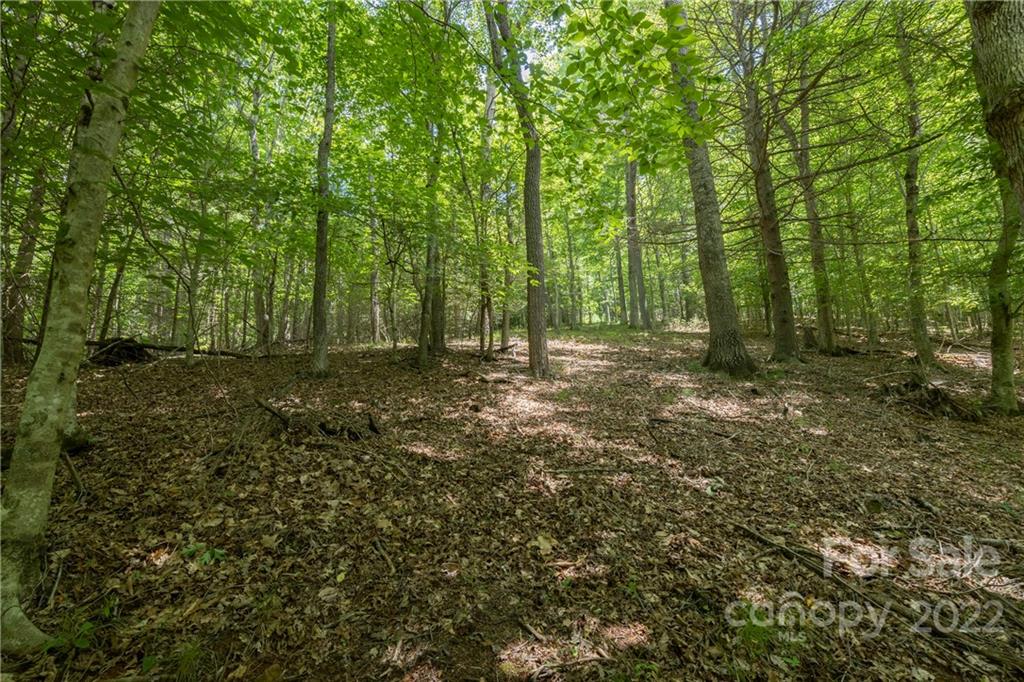Tbd Rabbit Hop Road, Unit 16 17 Spruce Pine, NC 28777 - Photo 8 of 22 Gallery Image 8